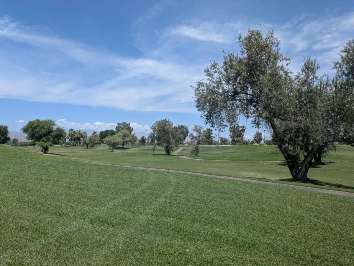 On-course view of Tahquitz Creek Golf Resort’s Resort Course.