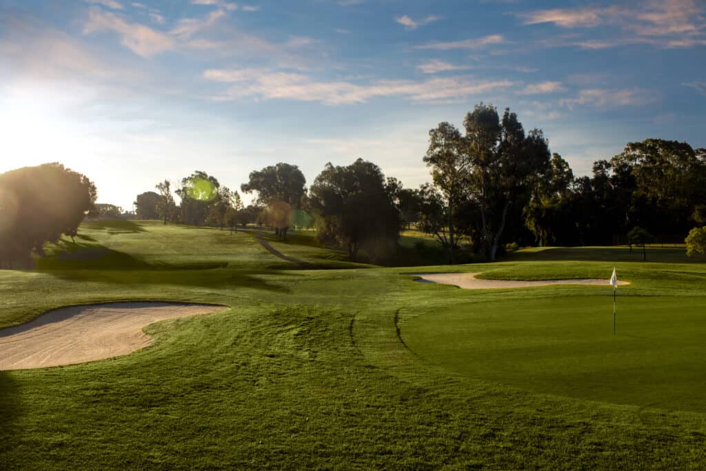 Green at Chester Washington Golf Course