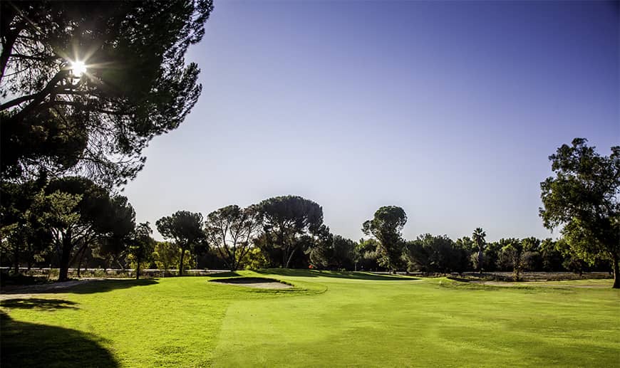 Encino green