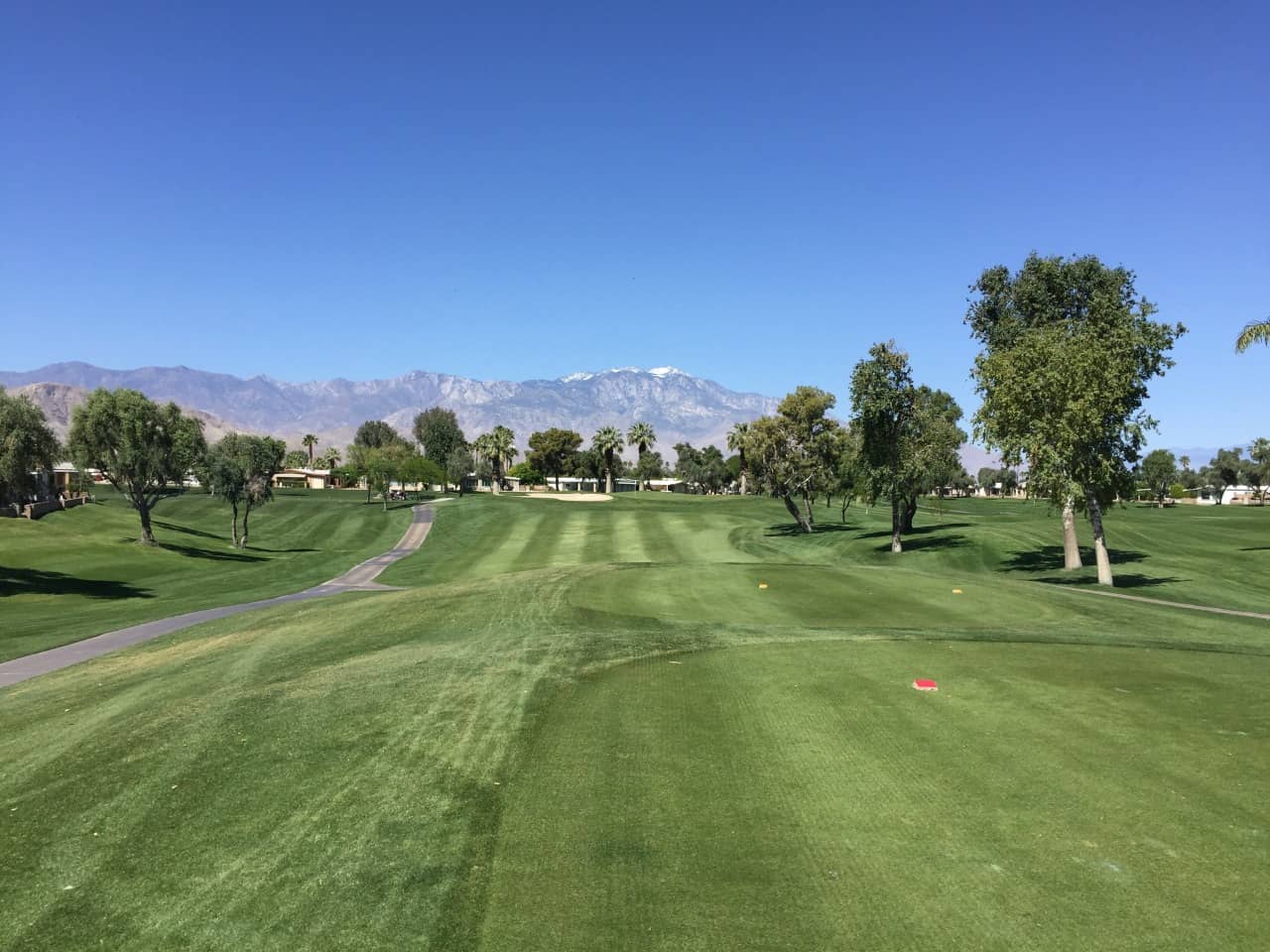 On-course view of Palm Desert Greens Country Club.