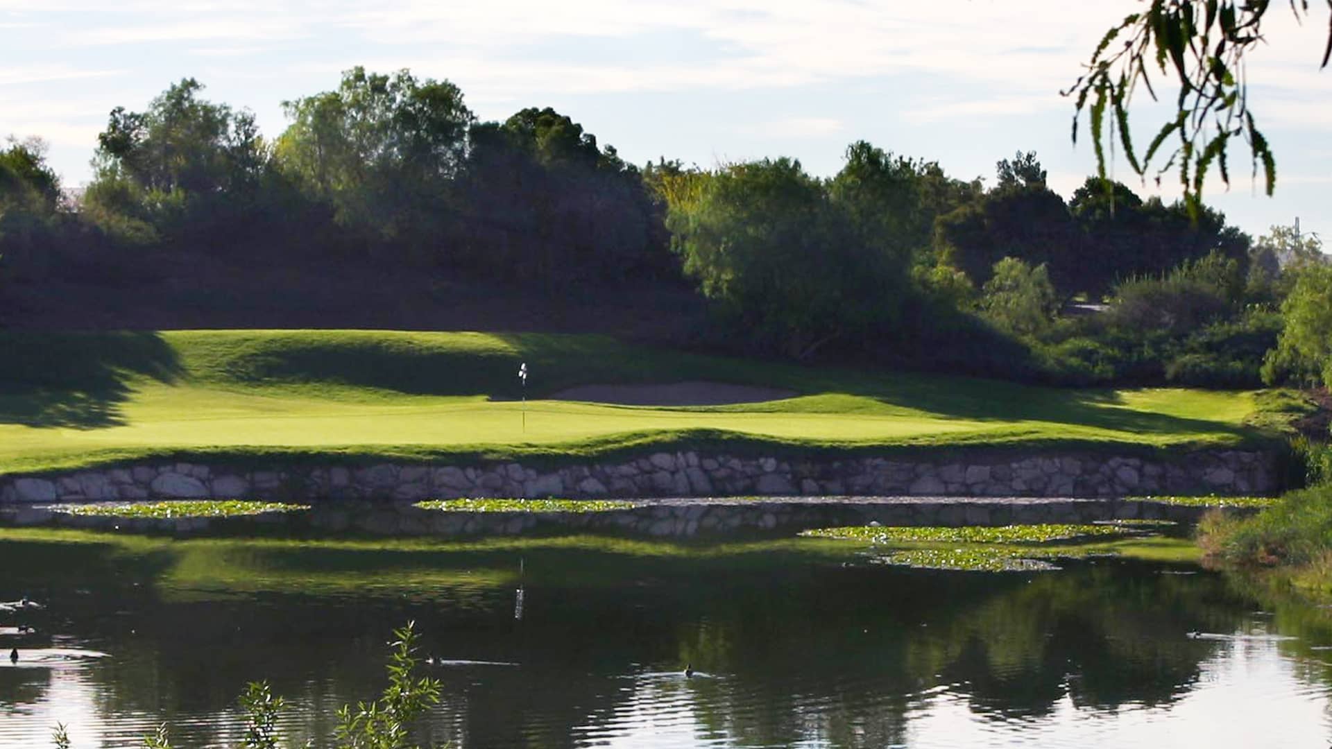 Green across a pond at Oak Creek Golf Club in Irvine.