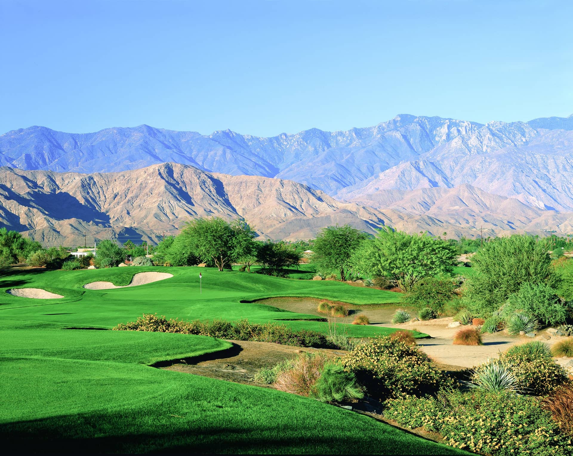 On-course view of Desert Willow’s Mountain View Course.