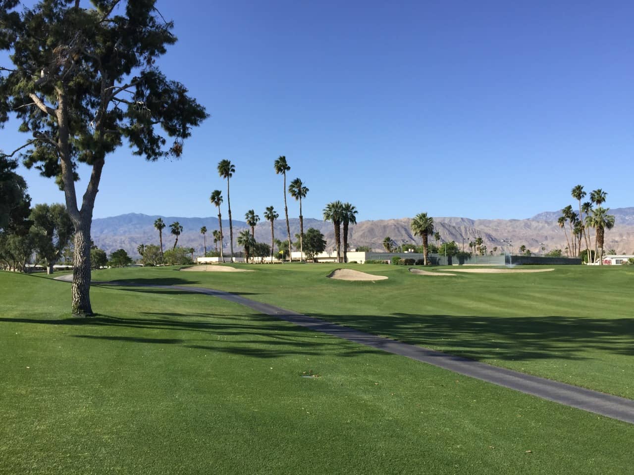 On-course view of Palm Desert Greens Country Club.
