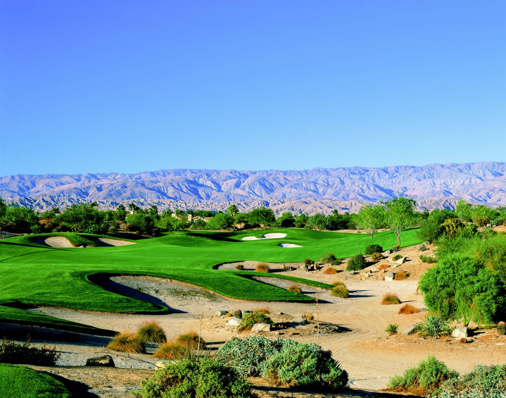 On-course view of Desert Willow’s Mountain View Course.
