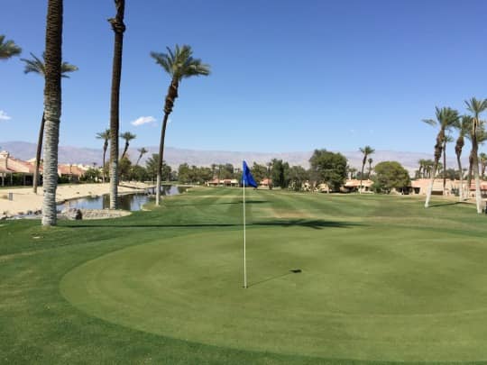 On-course view of Palm Desert Resort Country Club: Putting green with blue flag and palms.