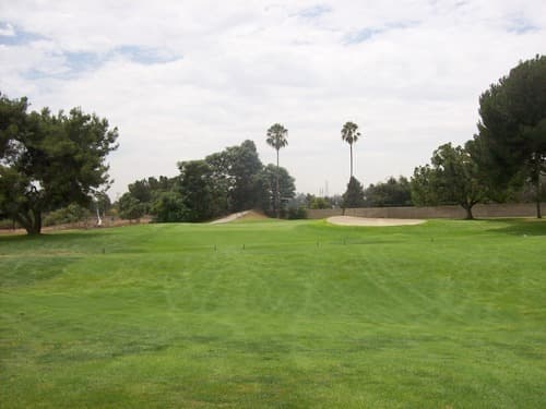 On-course view of Whittier Narrows River/Pine Course: River nine approach with twin palms.