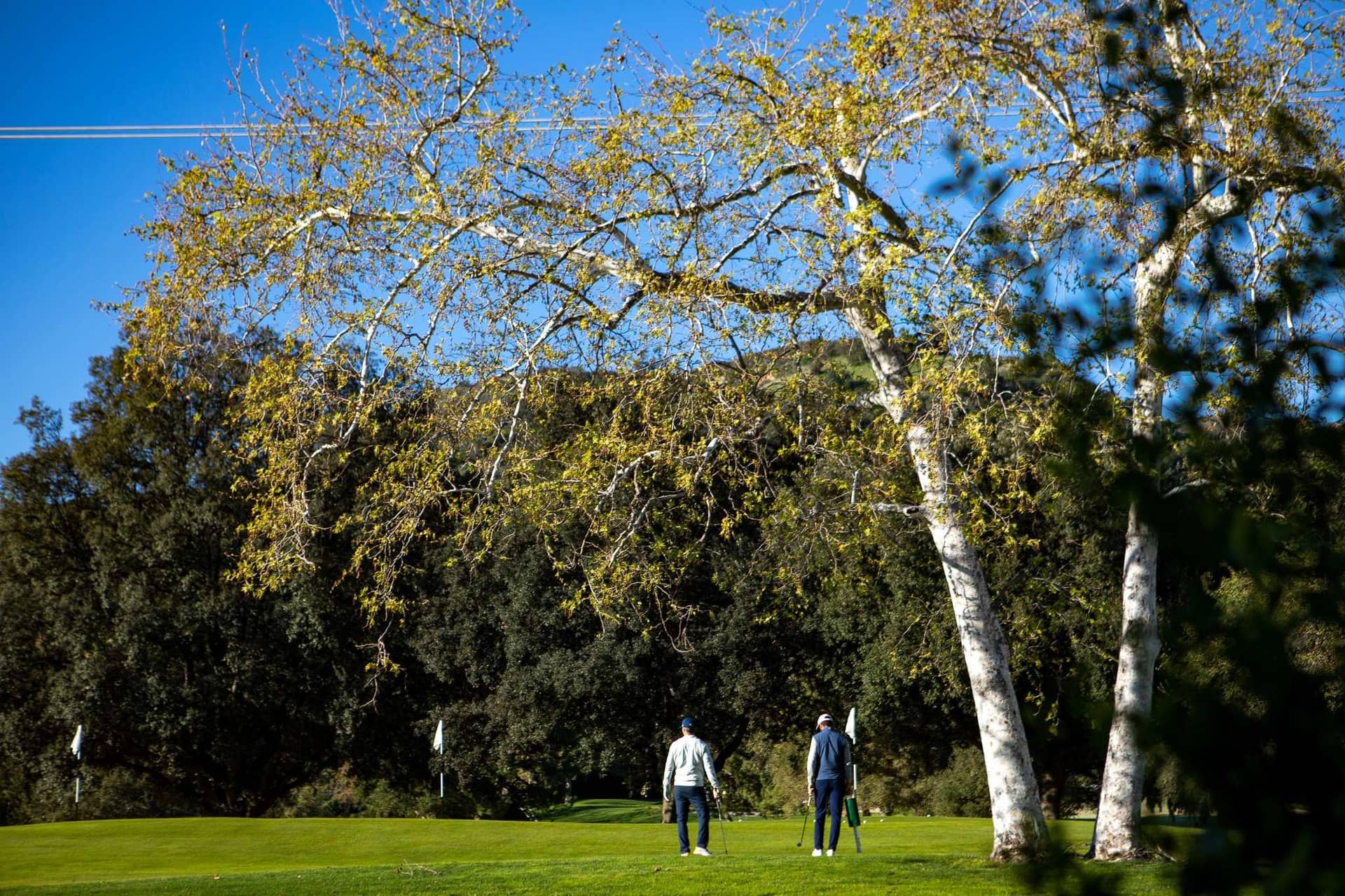 Golfers playing the course at Oakmont Country Club in Glendale.