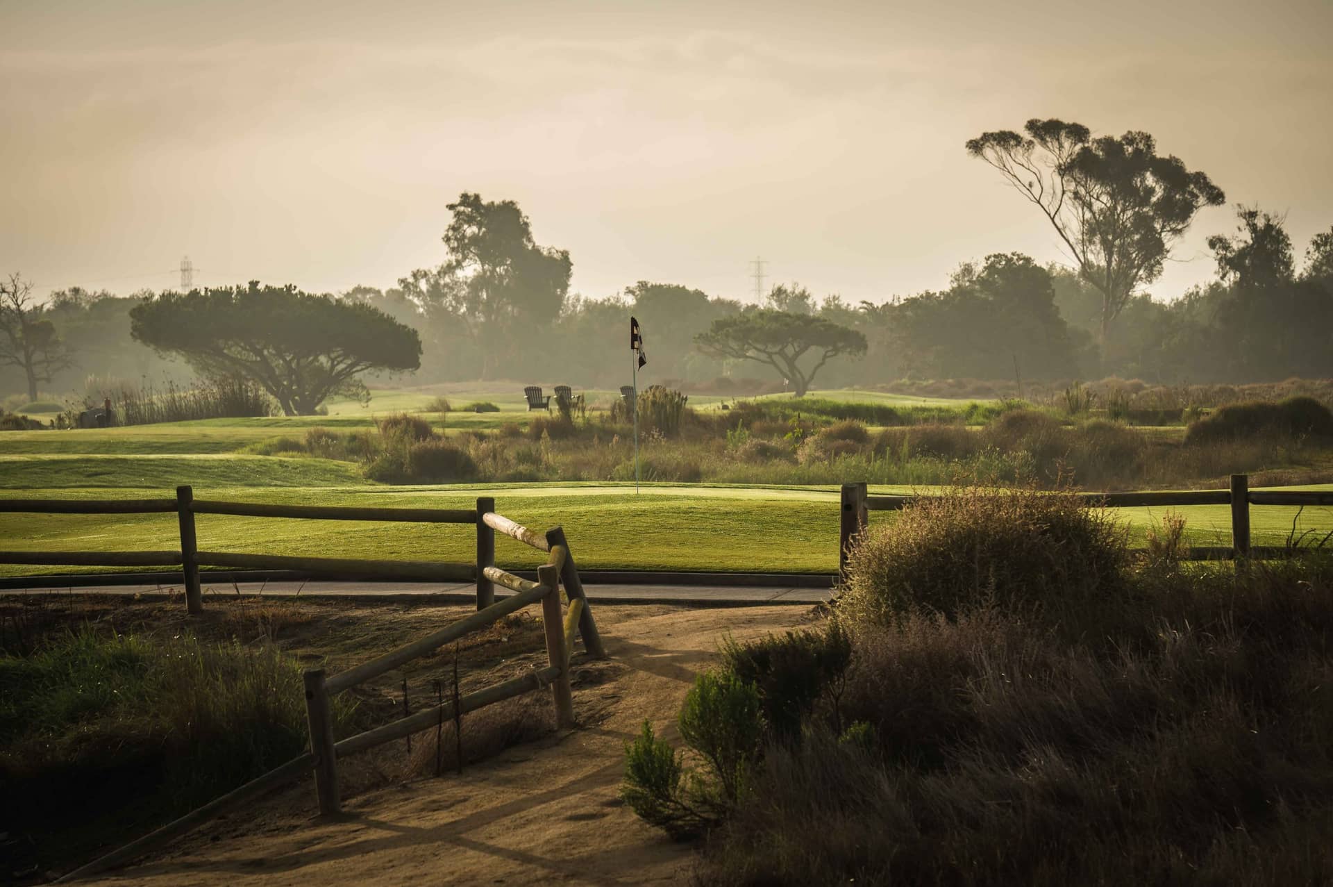 Flag and wind-shaped trees at Olivas Links, Ventura.