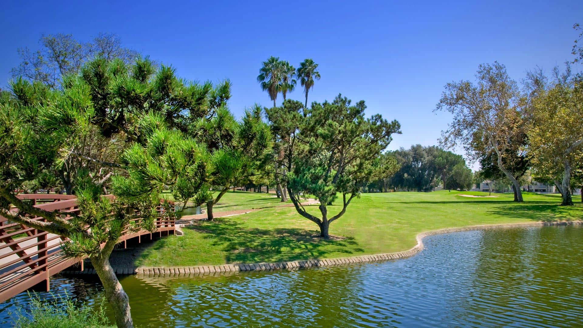 Los Amigos fairway