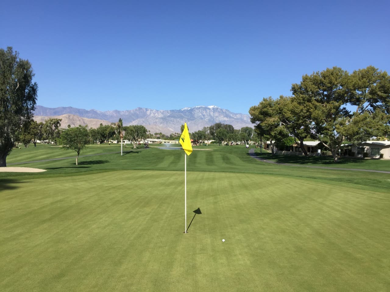 On-course view of Palm Desert Greens Country Club.