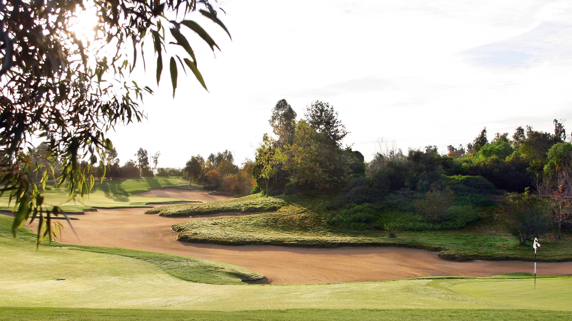 Green, bunkers and trees at Oak Creek Golf Club in Irvine.